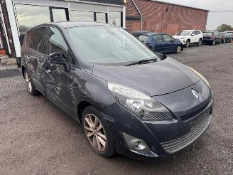 Renault Grand-scenic  picture 3