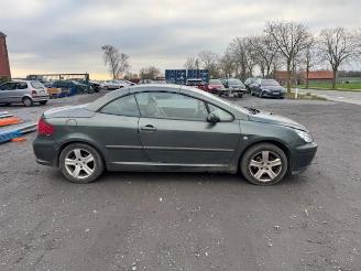 Peugeot 307 CC picture 4