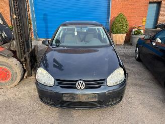 Avarii autoturisme Volkswagen Golf V 2005/5