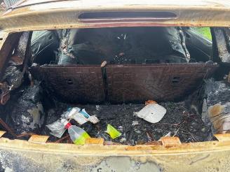 Volkswagen Polo  picture 11