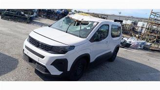 Purkuautot passenger cars Peugeot Rifter Rifter (ER/EC/EZ), MPV, 2018 e-Rifter 2025