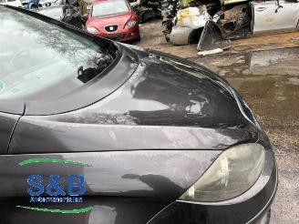 Seat Toledo Toledo (5P2), MPV, 2004 / 2010 1.6 picture 12