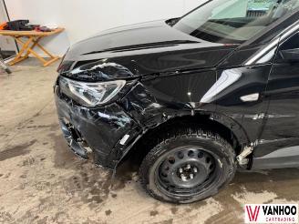 Opel Grandland X picture 2