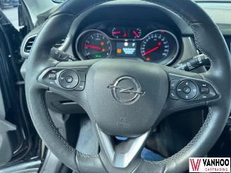 Opel Grandland X picture 19
