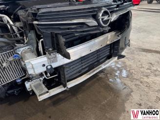 Opel Grandland X picture 7