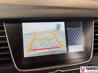 Opel Grandland X picture 22