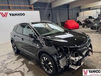 Opel Grandland X picture 5