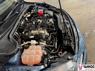 Ford Focus  picture 12