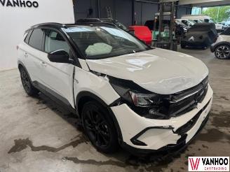 Opel Grandland X picture 3