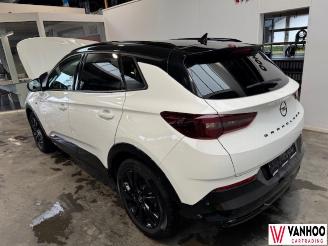 Opel Grandland X picture 7