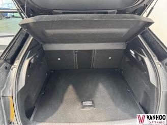 Peugeot 3008  picture 14