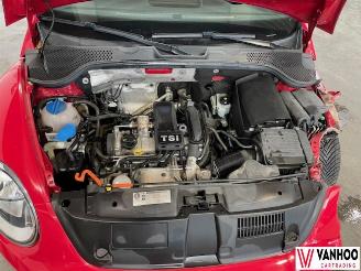 Volkswagen Beetle  picture 3