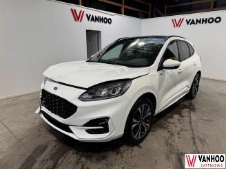 damaged passenger cars Ford Kuga  2023/7