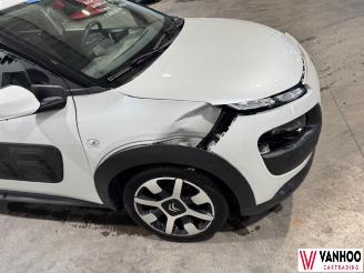 Citroën C4 CACTUS picture 4