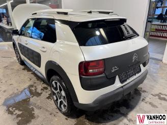 Citroën C4 CACTUS picture 13
