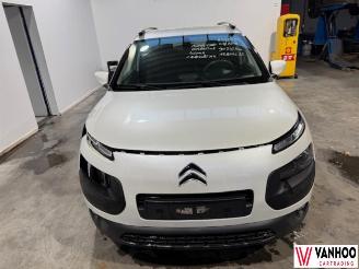Citroën C4 CACTUS picture 2