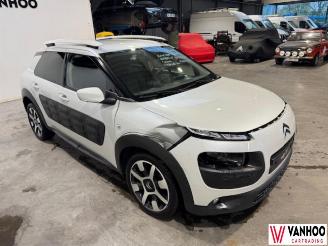 Citroën C4 CACTUS picture 3