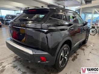 Peugeot 2008  picture 10