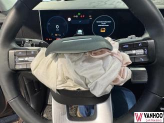 Hyundai Santa Fe FE picture 17