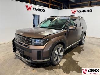 Avarii autoturisme Hyundai Santa Fe FE 2025/3