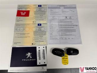 Peugeot 308  picture 19