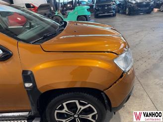 Dacia Duster  picture 5