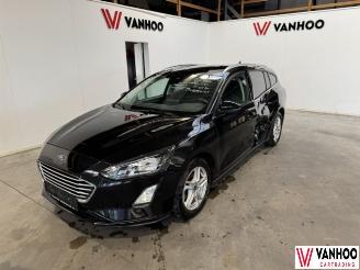 Ford Focus  picture 1