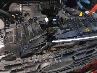 Ford Transit CUSTOM picture 20