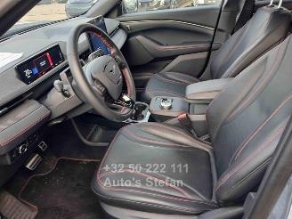 Ford Mustang MACH-E PREMIUM picture 14