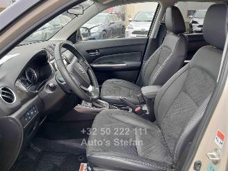 Suzuki Vitara  picture 12