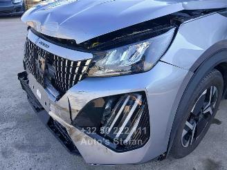 Peugeot 2008  picture 17