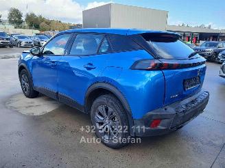 Peugeot 2008 ACTIVE picture 4