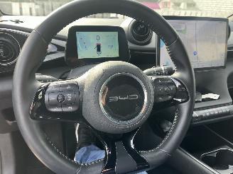 BYD Dolphin ELEKTRO LEDER-CAMERA-KLIMATRONIK picture 19