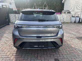 BYD Dolphin ELEKTRO LEDER-CAMERA-KLIMATRONIK picture 1