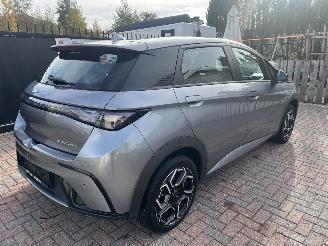 BYD Dolphin DOLPHIN BEV 65kWh Design picture 3