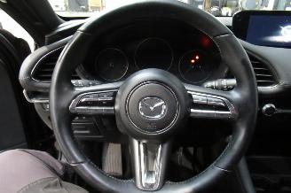 Mazda 3 SKYACTIVE picture 20