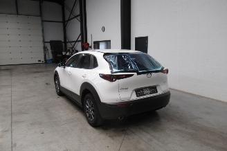 Mazda CX-30 SUV picture 3
