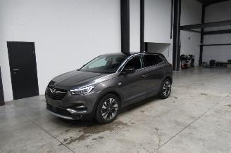 Schadeauto Opel Grandland SUV 2019/9