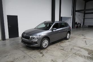 Skoda Kamiq SELECTION picture 1
