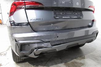 Skoda Kamiq SELECTION picture 8