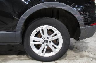 Audi Q3 SUV picture 11