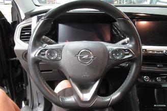 Opel Grandland SUV picture 22