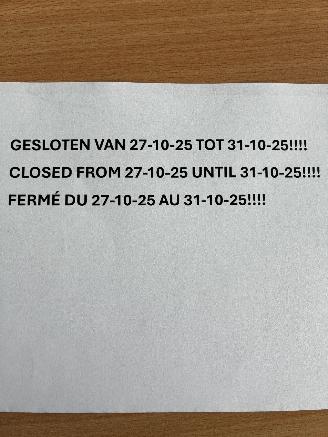 Avarii autoturisme Audi  GESLOTEN 27/10/25 - 31/10/25 2025/1