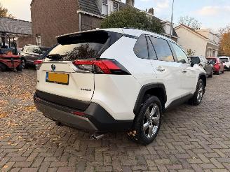 Toyota Rav-4 2.5 Hybrid AWD Executive NAP picture 13