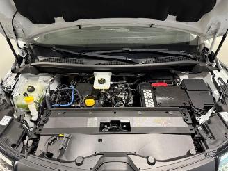 Renault Kangoo  picture 19