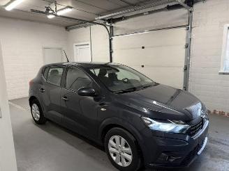 škoda osobní automobily Dacia Sandero  2021/3