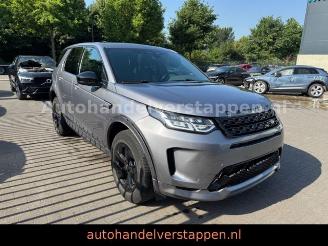 Land Rover Discovery Sport R-Dynamic S Leder Navi Panorama picture 3