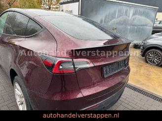Tesla Model Y Long Range Dual AWD Panorama picture 2