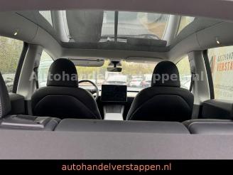 Tesla Model Y Long Range Dual AWD Panorama picture 14