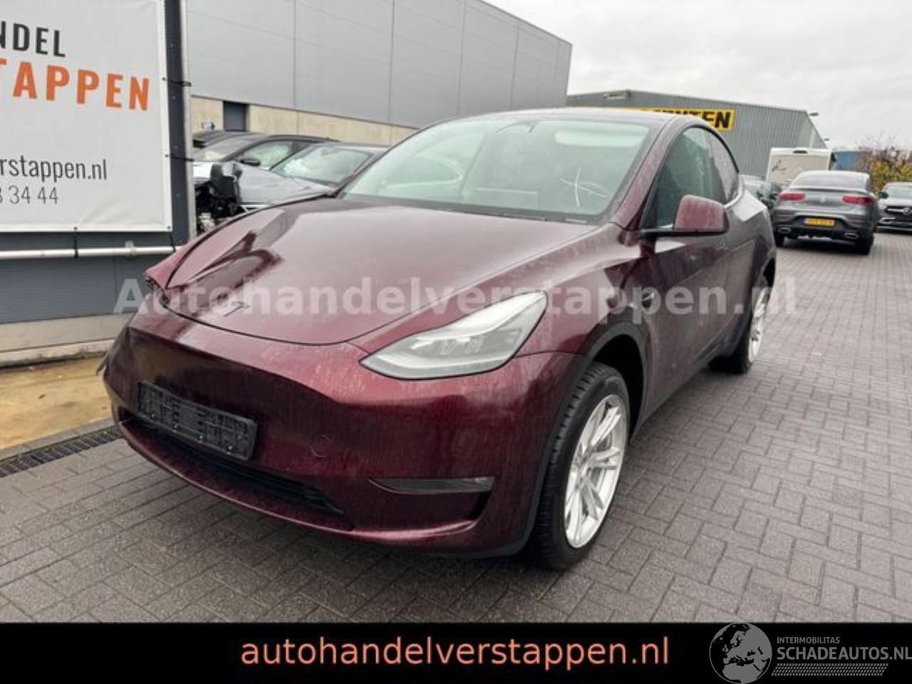 Tesla Model Y Long Range Dual AWD Panorama